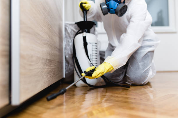 Reliable Rising Sun, IN Pest Control Solutions