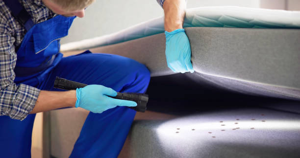 Best Best Pest Control Companies  in Risg Sun, IN