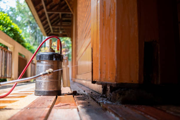 Best Cockroach Control Services  in Risg Sun, IN
